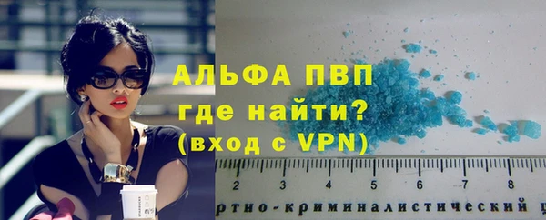 стафф Алексин