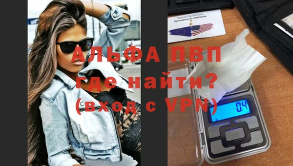 стафф Алексин
