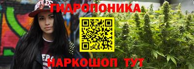 МДМА Камышлов