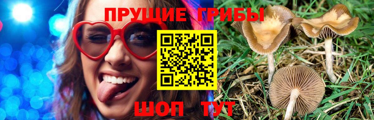 Краснознаменск  Псилоцибиновые грибы Magic Shrooms  Вход с VPN 